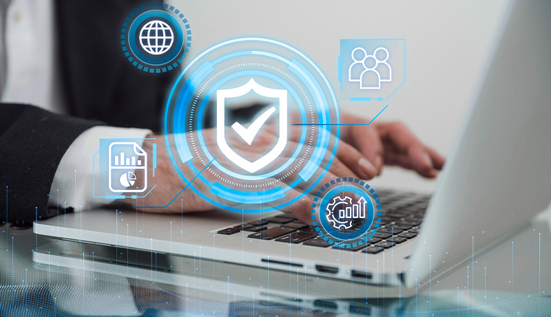 Falco Admin dashboard showing user access and alerts​